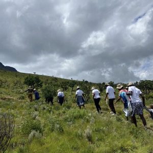 484559088_964297139220812_6877658536956113120_n